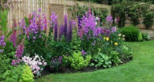 Backyard garden landscaping #Landscape garden