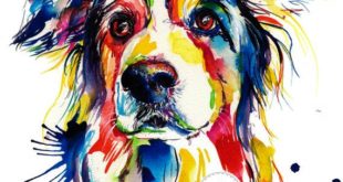 Colorful Border Collie Art Print by Original by WeekdayBest