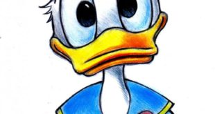 Donald Duck drawing