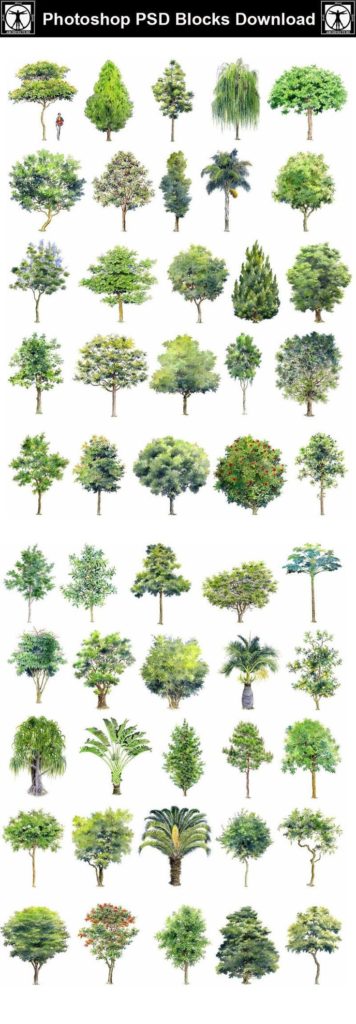 Hand painted PSD tree blocks 2 | Free Cad Blocks & Drawings Download Center