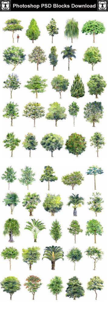 Handpainted PSD Tree Blocks 2 - CAD Design | Free CAD blocks, drawings, details