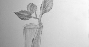 # Pencil drawing # Pencil sketch # Beginners #Rose #Drawing lessons --- coal ...