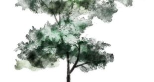 Tree silhouette 6