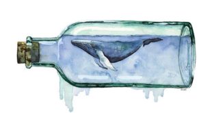 Whale graphic watercolor painting titled TheColorfulCatStudio