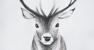 #scandinavian #nordic #interior #deer #watercolor #drawing