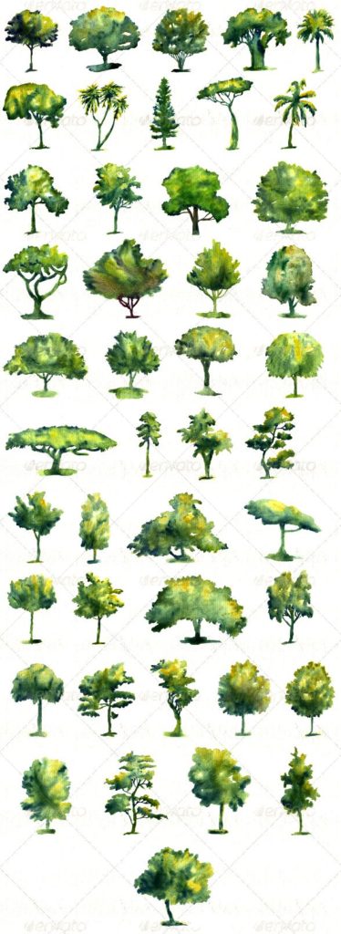 trees