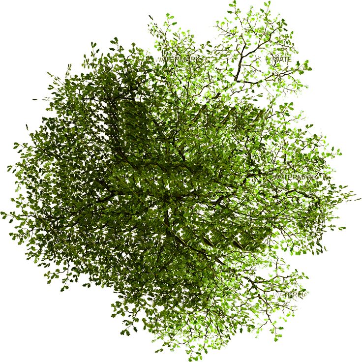3c469e0077dc3dc3dc4583cfe6bf6bbe.png (1536 × 1536)