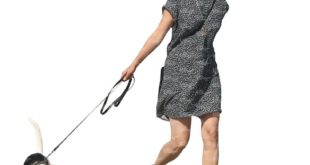 5336_woman-in-gray-dress-walking-a-dog.jpg (2700 × 2700)