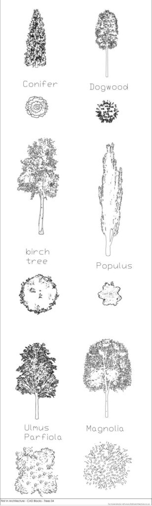 CAD Blocks - Tree Pack 04 | First in architecture