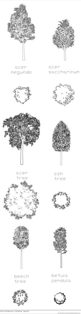 CAD Blocks - Tree Pack 05 | First in architecture