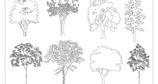 Free CAD Blocks - Trees 02 | First in architecture