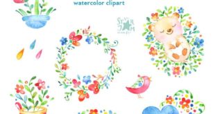 Hello spring 2. Watercolor Animals and flowers Clipart hedgehog