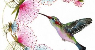 Hummingbird // Sell 3 for 2 // Little Bird by TevaKiwi on Etsy, $ 18.00