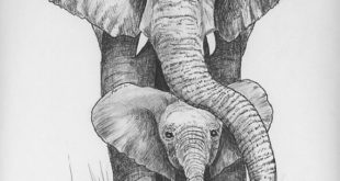 Pen and ink to draw mom and baby elephants.