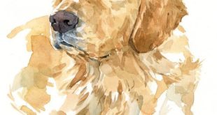 Personalized pet portrait - 8x10 original watercolor from your laboratory ...