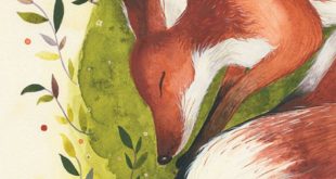 The Sleepy Fox - Collection of watercolors of animals 12x16