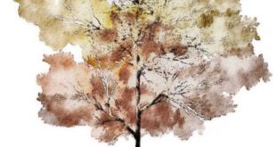 Watercolor-Trees_015.jpg (453 × 800)