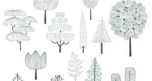 Illustration of pine tree collection | free image by rawpixel.com