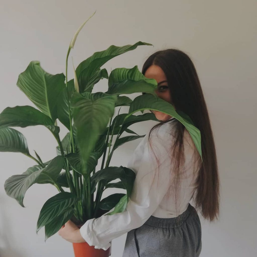 Find the beauty in the simple things