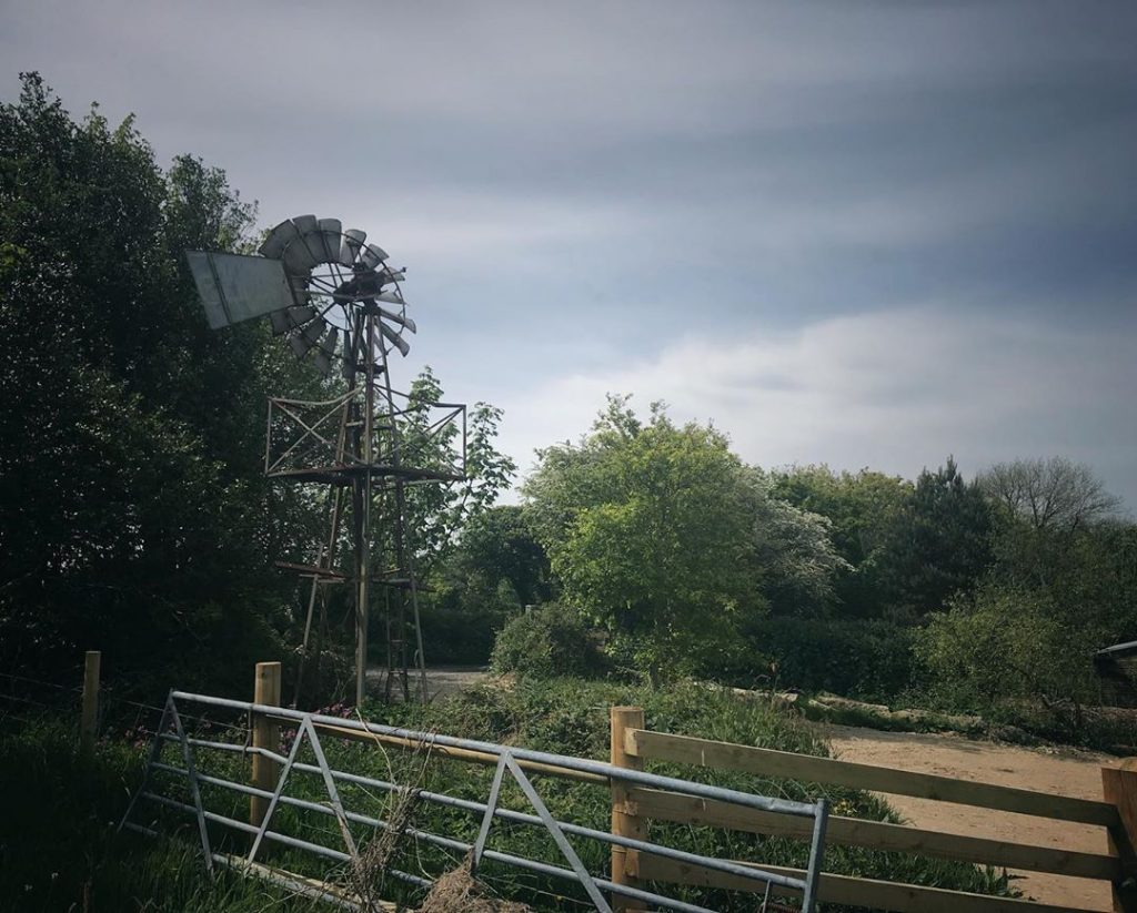 We have an old windmill on site that once served as a water pump. We hope