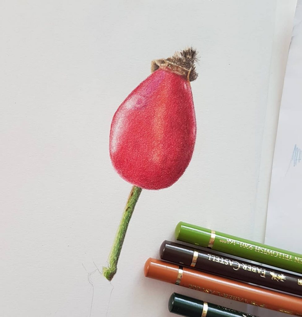 Day 63/365. A little bit of progress with mine
,
,