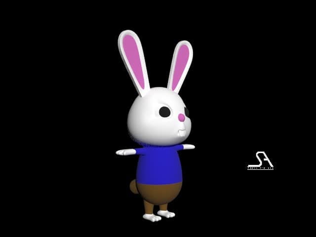 Rabbit modeling