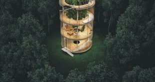 To be introduced, please follow us
· · · Treehouse Rendering of
,
,
,
,
,