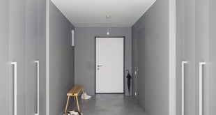 ⠀
Visualization of the corridor with a cat. Gray, gray design.
⠀
visualization