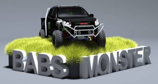 Babs Monster Truck 3d work
