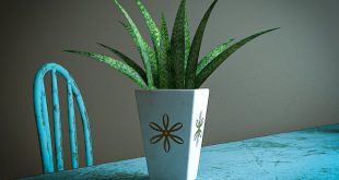 This is a table planter that was created in 3ds max with low poly and part of the