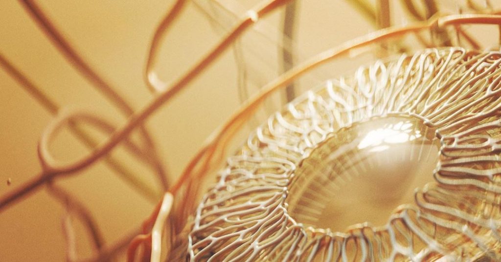 Close-up lens, nerves and vessels of the eye.