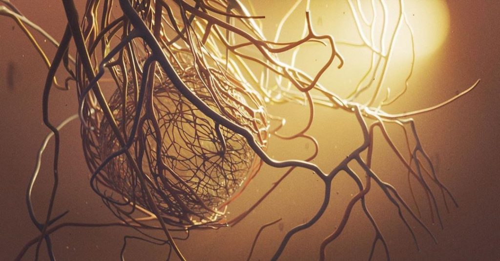 Eye anatomy - nerves, arteries, veins, zonular fibers, lens and vitreous. R
