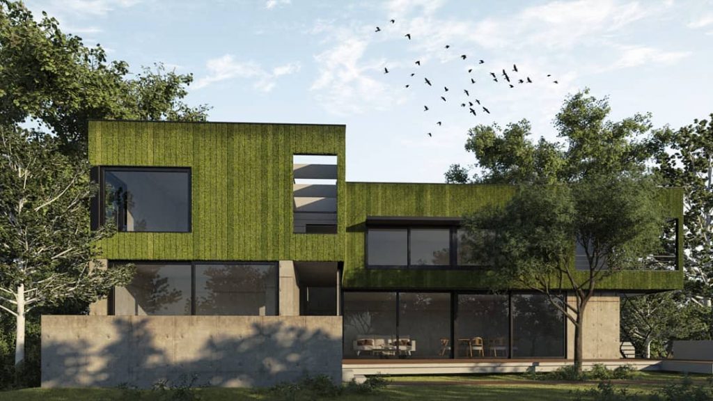 Muro verde