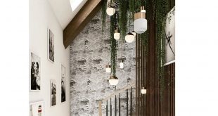 Indoor hanging plants
,
,
,
,
,
,
,
,