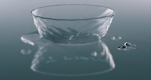 A glass bowl and some water. Made with and - design